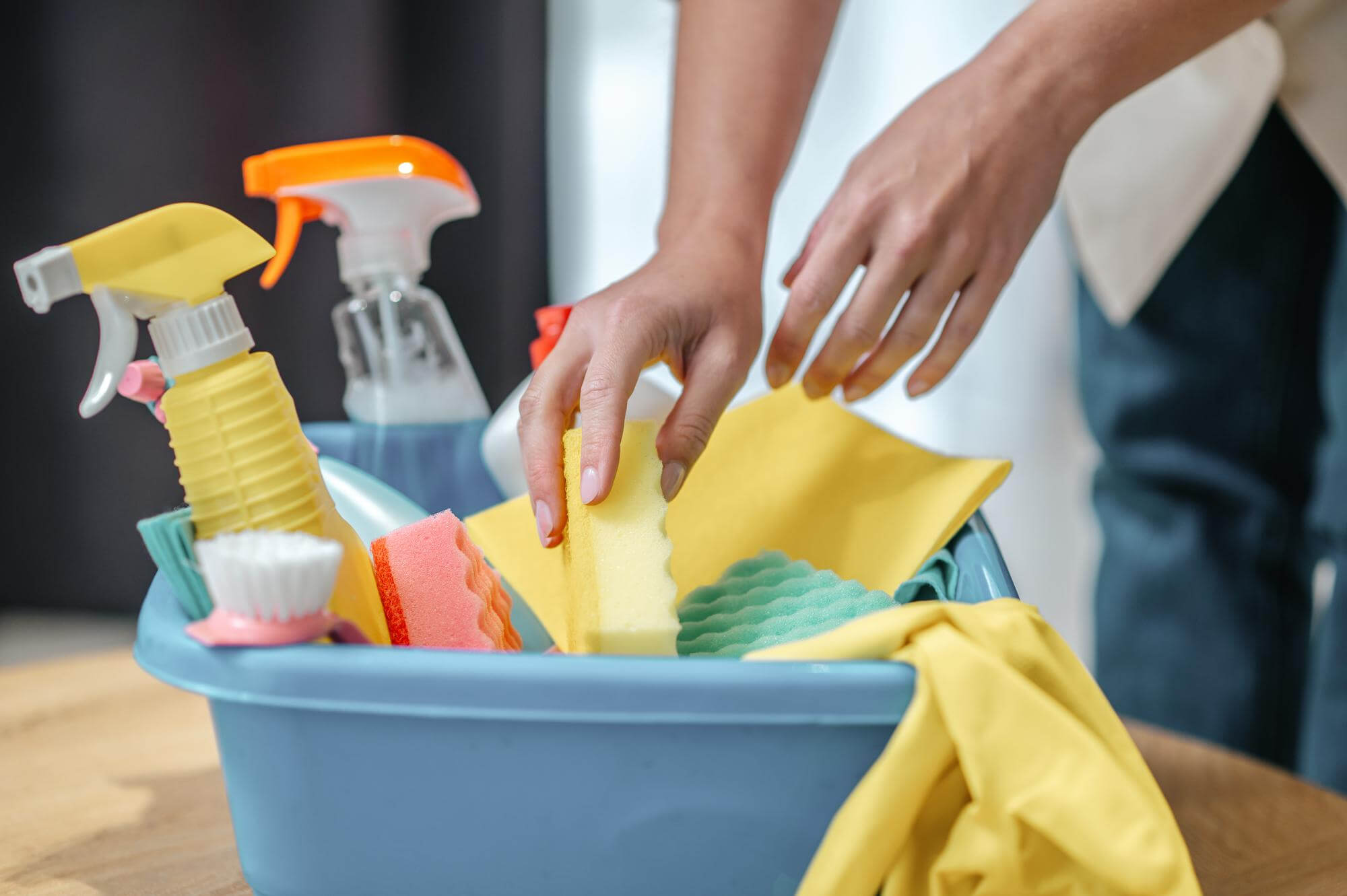Limpieza higienica servicios